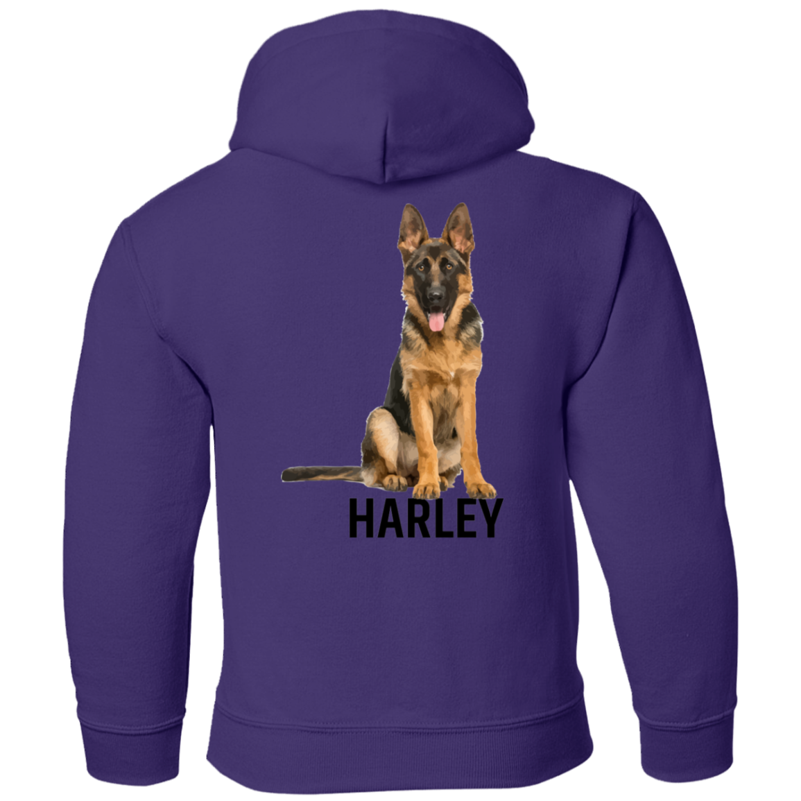 Topclass Harley Youth Hoodie