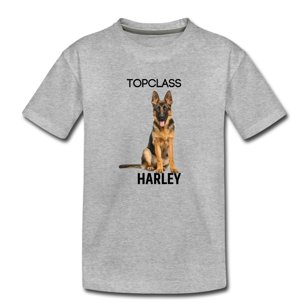 Topclass Youth Harley Tshirt - heather gray